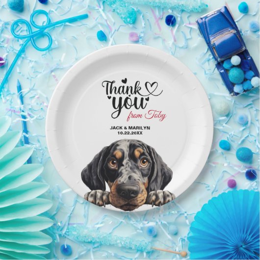Bluetick Coonhound Pappteller (Party)
