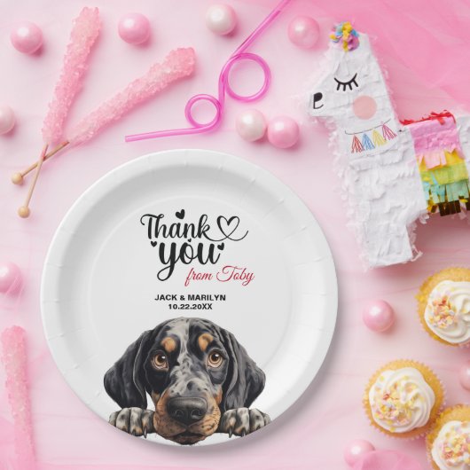 Bluetick Coonhound Pappteller (Party)