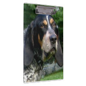 Bluetick Coonhound.png Klemmbrett (Rechts)