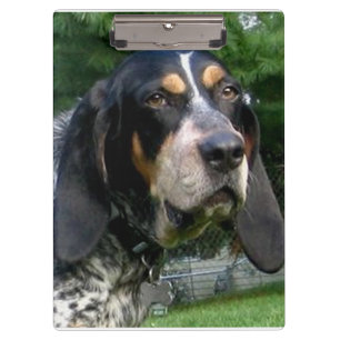 Bluetick Coonhound.png Klemmbrett