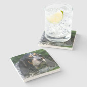 Bluetick Coonhound.png Steinuntersetzer (Seitenansicht)