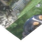 Bluetick Coonhound.png Tischdecke (Schrägansicht)