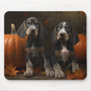 Bluetick Coonhound Welpe Herbstfreude Kürbis Mousepad