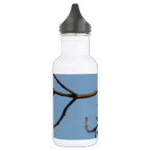 Bluetit Edelstahlflasche (Links)