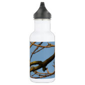Bluetit Edelstahlflasche (Rechts)