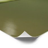 Bluetit im Baum Poster (Ecke)