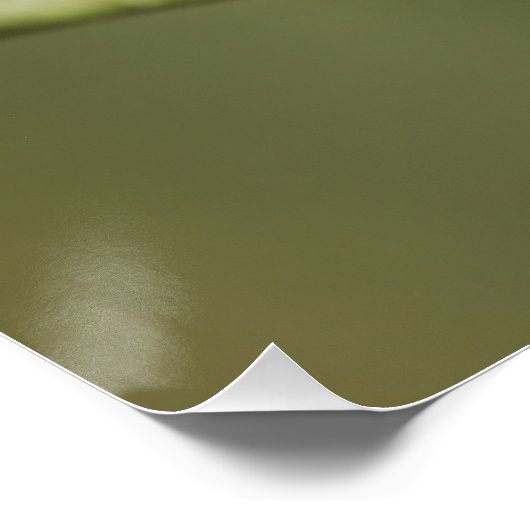 Bluetit im Baum Poster (Ecke)