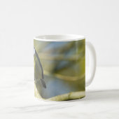 Bluetit Kaffeetasse (VorderseiteRechts)