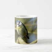 Bluetit Kaffeetasse (Mittel)
