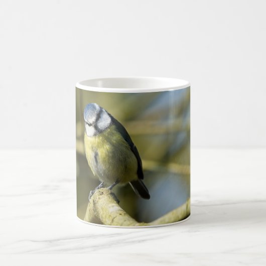 Bluetit Kaffeetasse (Mittel)