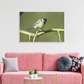 Bluetit Leinwanddruck (Insitu (Wohnzimmer))