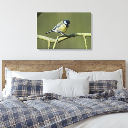 Bluetit Leinwanddruck (Insitu (Schlafzimmer))