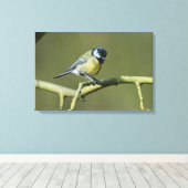 Bluetit Leinwanddruck (Insitu (Holzboden))