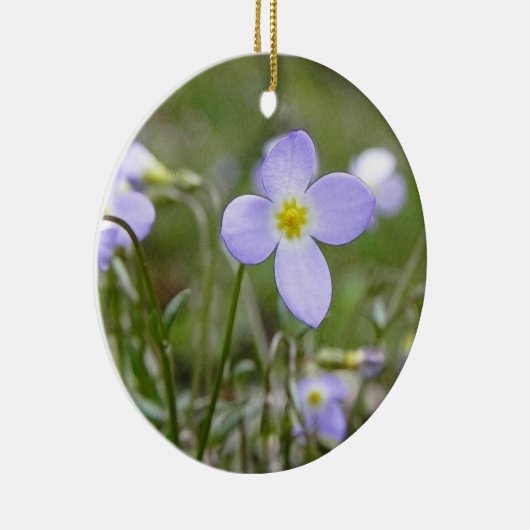 Bluets - Quäker-Damen Keramikornament (Rechts)