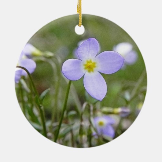 Bluets - Quäker-Damen Keramikornament (Hinten)