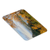 Bluff & Birch Panorama Magnet (Rechte Seite)