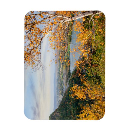 Bluff & Birch Panorama Magnet (Vertikal)