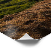 Bluff Cove Coastal Sunset – Ocean Landscape Print Poster (Ecke)