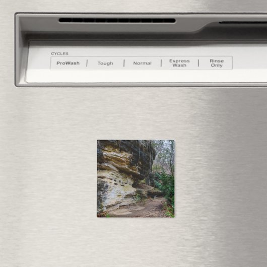 Bluff Lined Walk Magnet (In Situ (Geschirrspüler))