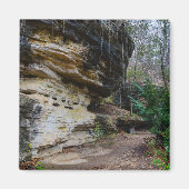Bluff Lined Walk Magnet (Vorne)