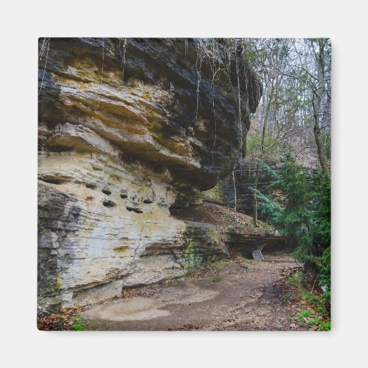 Bluff Lined Walk Magnet (Vorne)