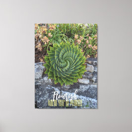 Blüh, wo man in Spiralalalosen-Granit gepflanzt is Leinwanddruck