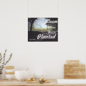 "BLÜHE, WO DU EINGEPFLANZT BIST" POSTER (Küche)