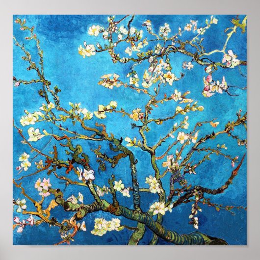 Blühen Almond Tree Van Gogh Kunst und Kultur Poster (Vorne)