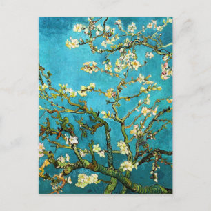 Blühen Almond Tree Van Gogh Kunst und Kultur Postkarte