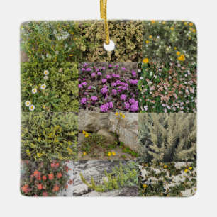 Blühen am Meer: Asilomar Keramikornament