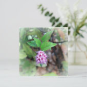 Blühen im Herbst (Stehend Vorderseite)