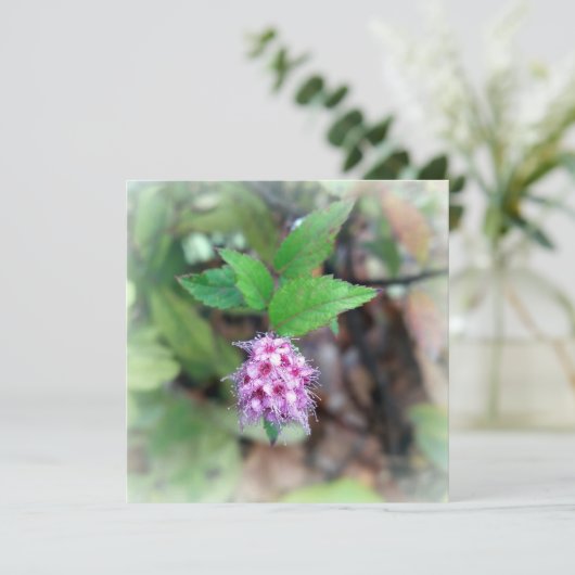 Blühen im Herbst (Stehend Vorderseite)