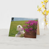 Blühen Sie, wo Sie gepflanzte Karte (Gelbe Blume)