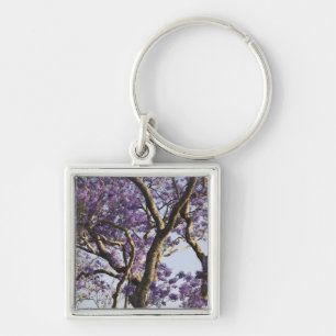 Blühen von Jacaranda Bäumen in New Farm Park, Schlüsselanhänger