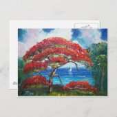 Blühen von Royal Poinciana Tree und Sailboat Postkarte (Vorne/Hinten)