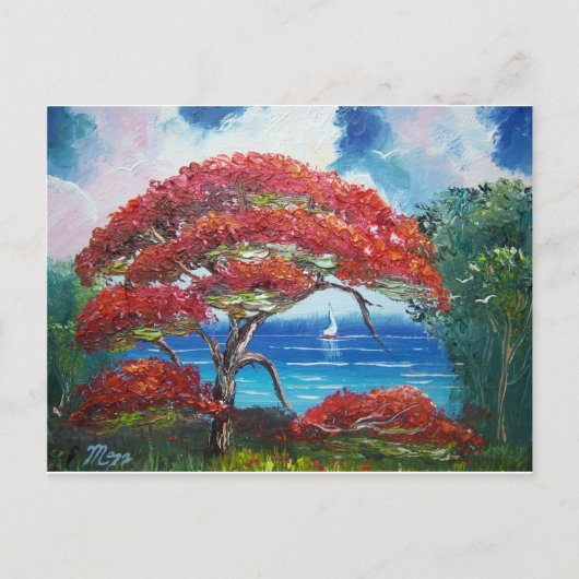 Blühen von Royal Poinciana Tree und Sailboat Postkarte (Vorderseite)