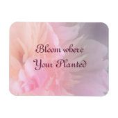 Blühen, wo Ihr gepflanztes Blütenmagnet bläst Magnet (Horizontal)