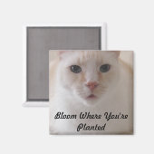 Blühen, wo Sie gepflanzt werden Bildmagnet Magnet (Vorderseite/Rückseite)