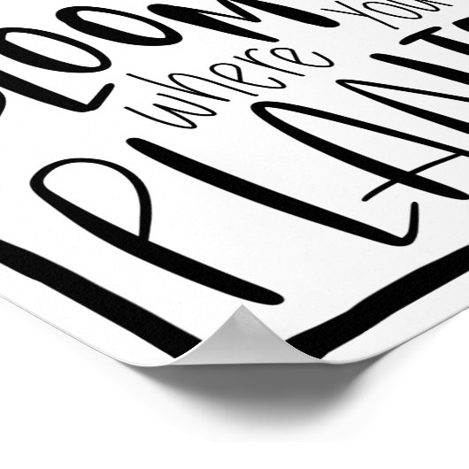 Blühen, wo Sie gepflanzt werden - Zitat zur Sonnen Poster (Ecke)