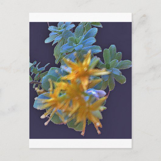 Blühende Aeonium Postkarte (Vorderseite)