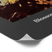 Blühende Akacia Branches Vincent van Gogh. Poster (Ecke)