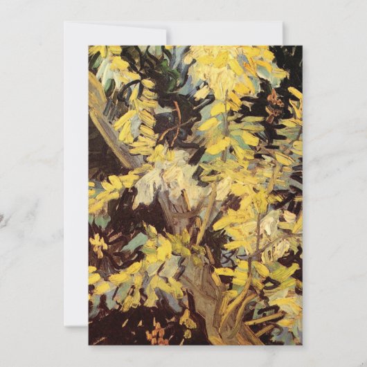 Blühende Akacia Branches von Vincent van Gogh (Vorderseite)