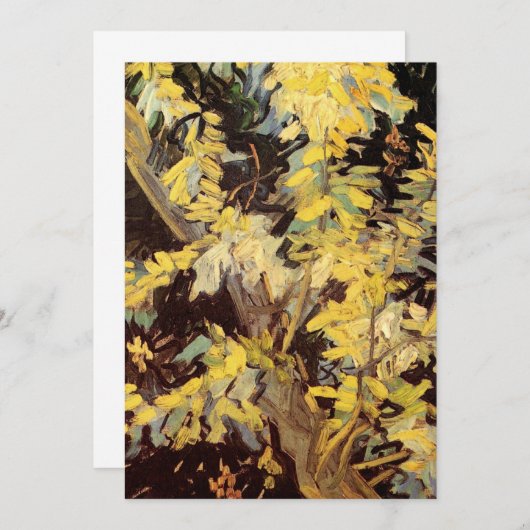 Blühende Akacia Branches von Vincent van Gogh (Vorne/Hinten)