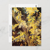 Blühende Akazienzweige, Vincent van Gogh Postkarte (Vorne/Hinten)