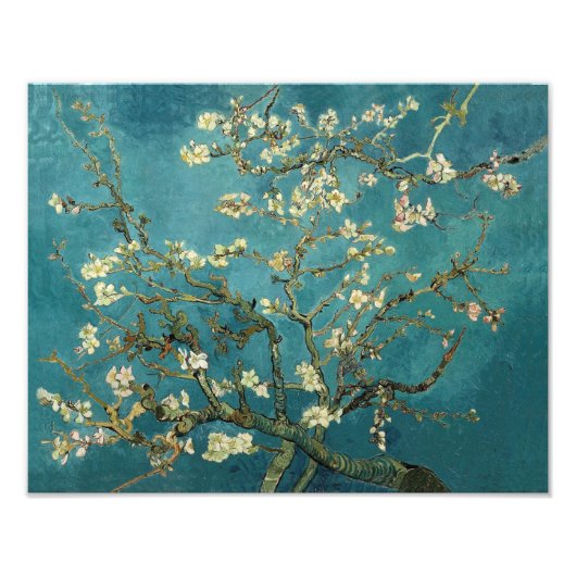 Blühende Almond Tree - Van Gogh Fotodruck (Vorne)