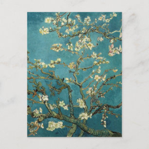 Blühende Almond Tree - Van Gogh Postkarte