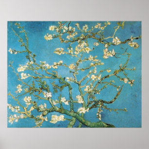 Blühende Almond Tree Vincent van Gogh Poster