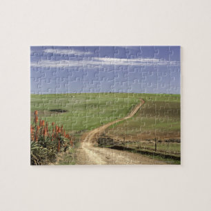 Blühende Aloen nahe Caledon, Westkap Puzzle