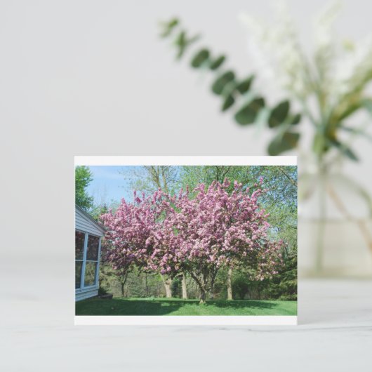 Blühende Apfelbäume Postkarte (Stehend Vorderseite)