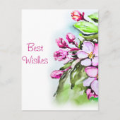 Blühende Apple-Blüten Postkarte (Vorderseite)